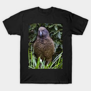 The New Zealand Kea T-Shirt
